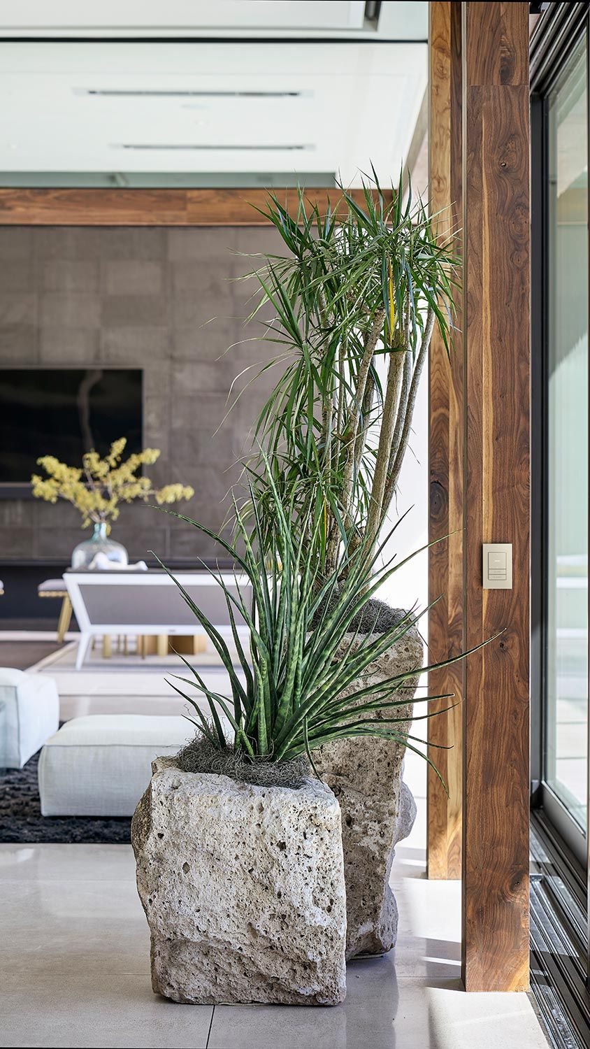 A stylish living room with large rock planters holding green plants, modern furniture, and a TV mounted on the wall. A Crestron Lighting Control Keypad is on the right side.