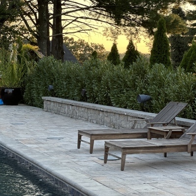 outdoor-speakers-by-pool
